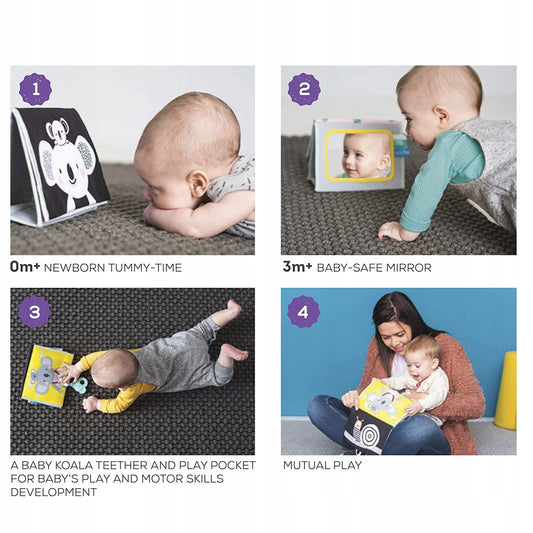 TAF TOYS contrast book with mirror