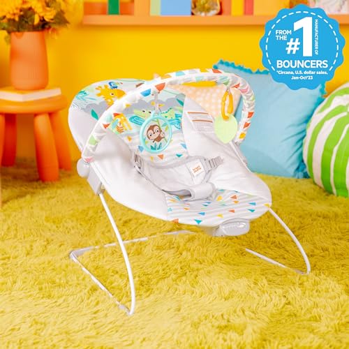 Bright Starts Safari Fun Babywippe