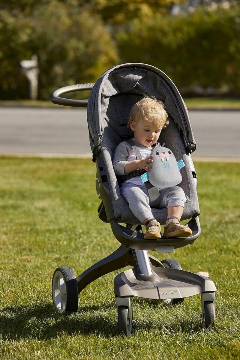 FISHER-PRICE Chill Vibes Robbe Plüschtier mit Melodien und Vibrationen 17 cm