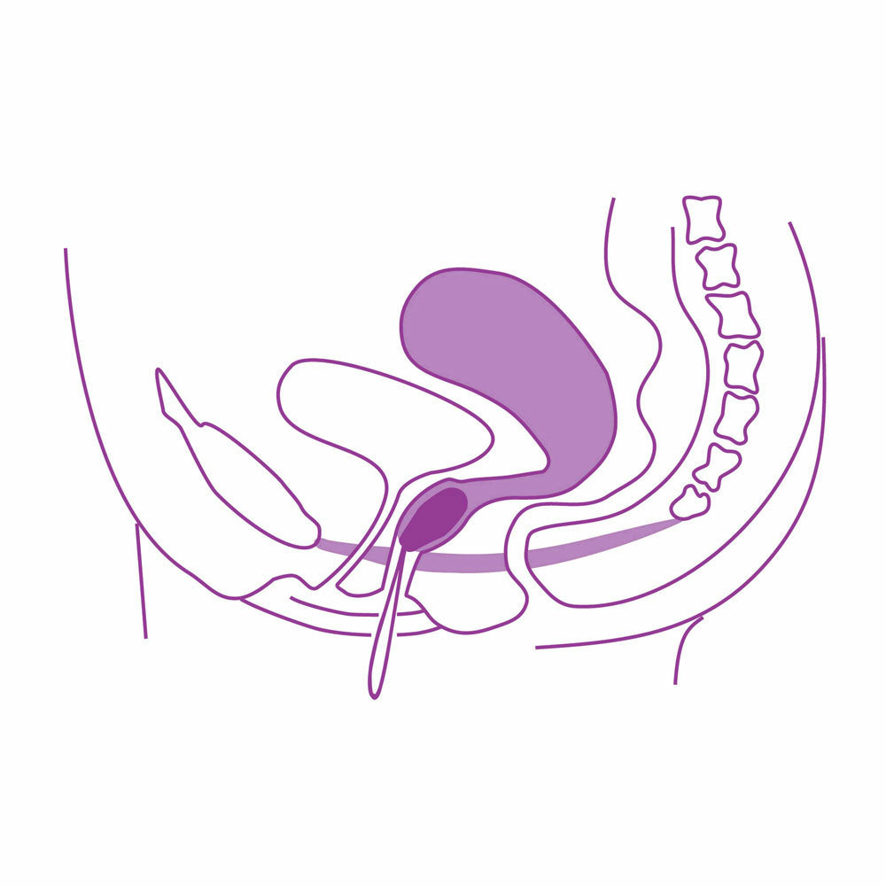 ELANEE wkładka treningowa dopochwowe DNO MIEDNICY faza II