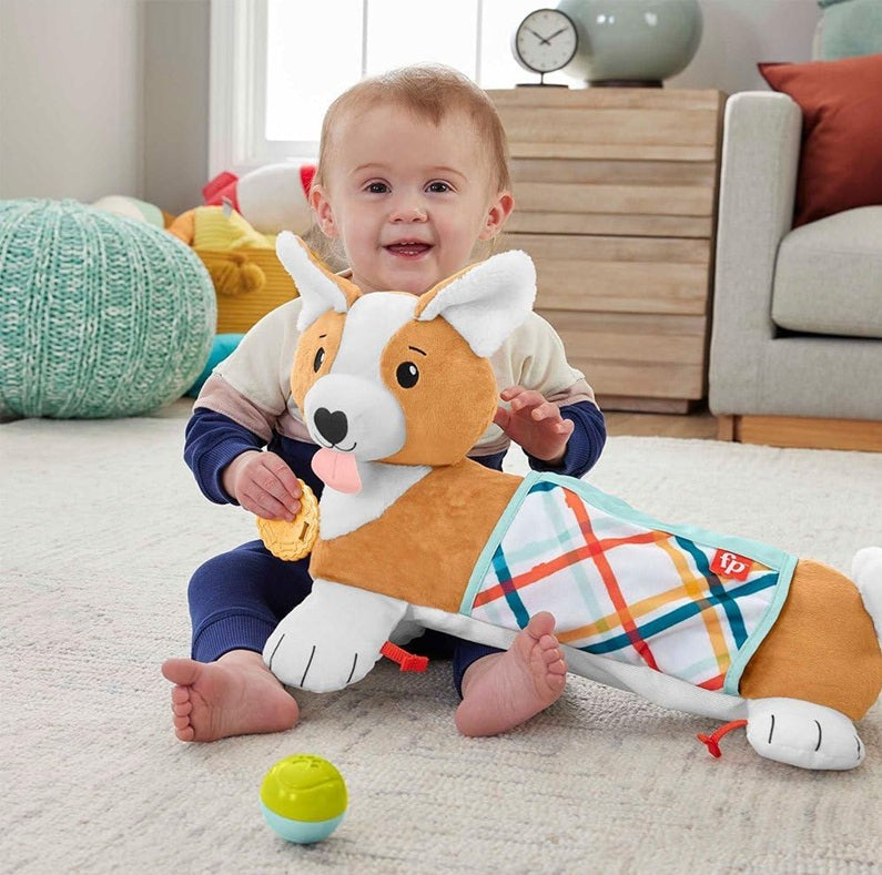 FISHER-PRICE HJW10 Bauchliege-Hündchen 29,2 x 43,2 cm
