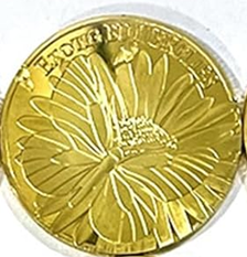 BRADOC WrÃƒÂ©e ZÄ™buszka cushion coin