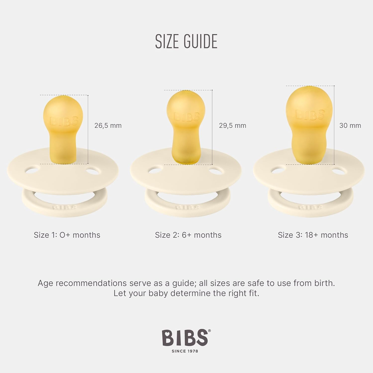 BIBS COLOUR Schnuller 2er-Pack Naturkautschuk 0-6 Monate