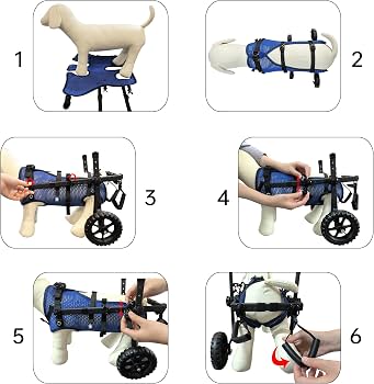 Kajile foldable stroller for small dogs XS