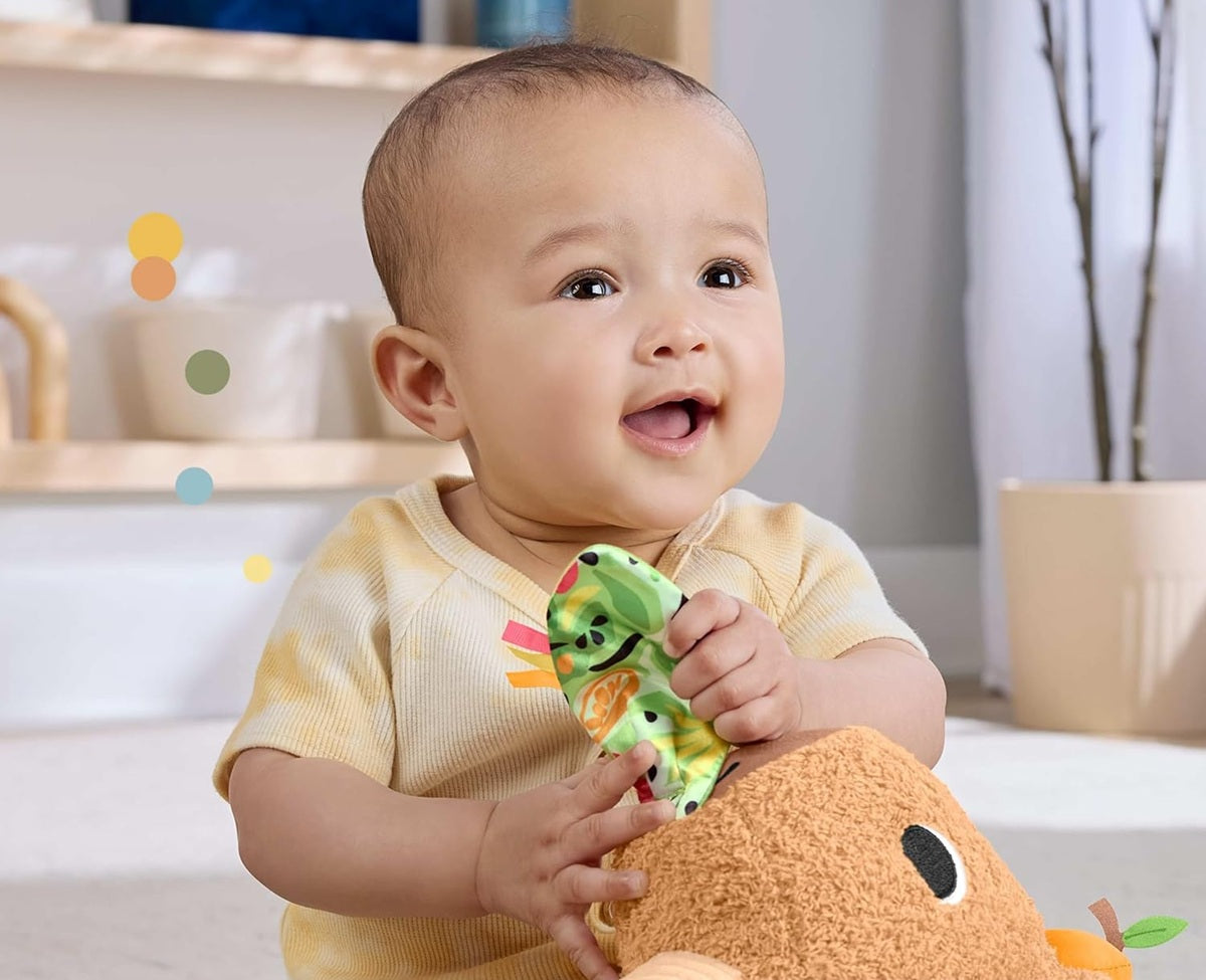 FISHER-PRICE Plüsch-Sensory-Wasserschwein mit Beißring und Rassel 23,5 cm