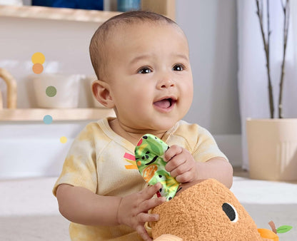 FISHER-PRICE Plüsch-Sensory-Wasserschwein mit Beißring und Rassel 23,5 cm