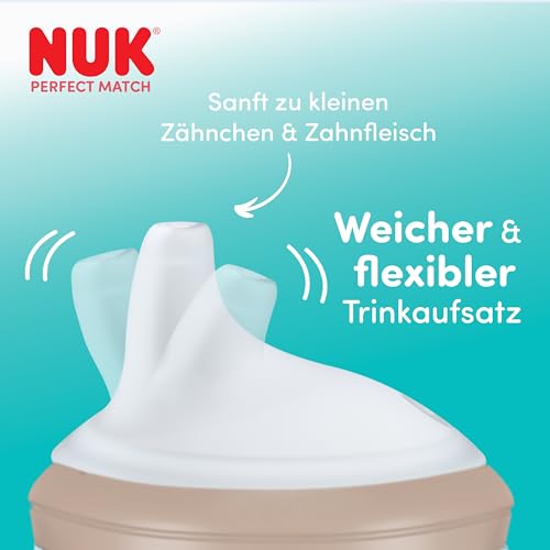 NUK Perfect Match Learner Cup 150 ml 6m+ Winnie Puuh
