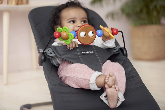 BABYBJORN A toy system for recliner
