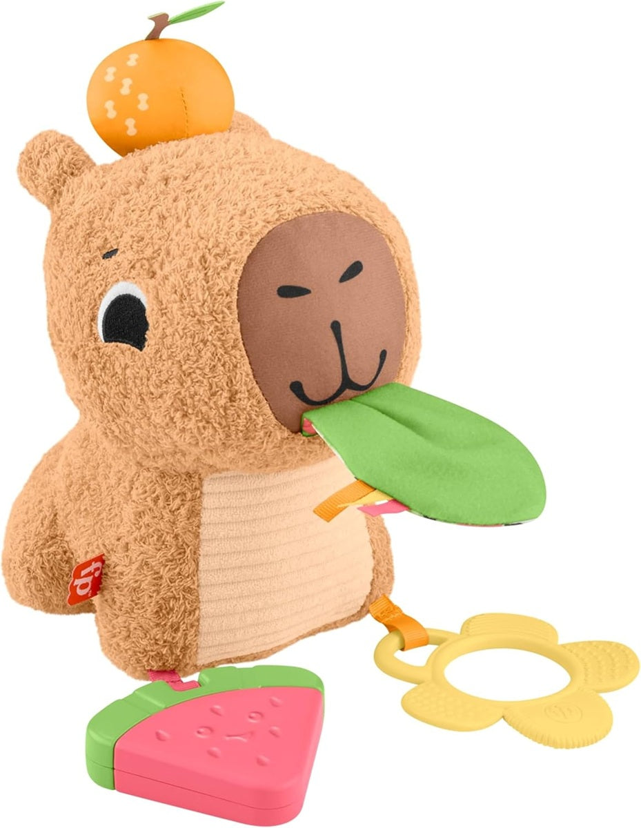 FISHER-PRICE Plüsch-Sensory-Wasserschwein mit Beißring und Rassel 23,5 cm