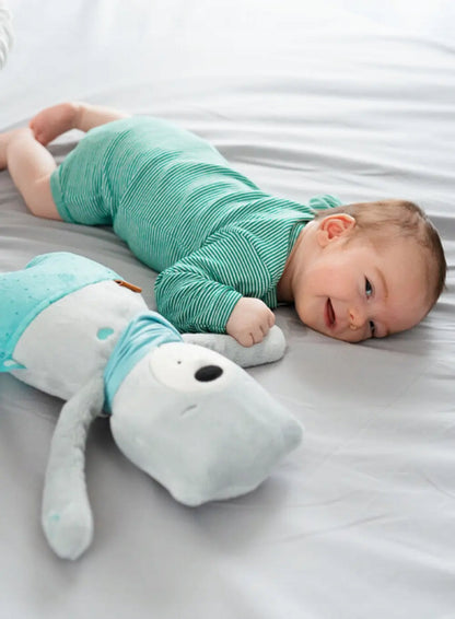 MyHummy szumiś przytulanka czujnik płaczu MIŚ LUCAS 24 cm