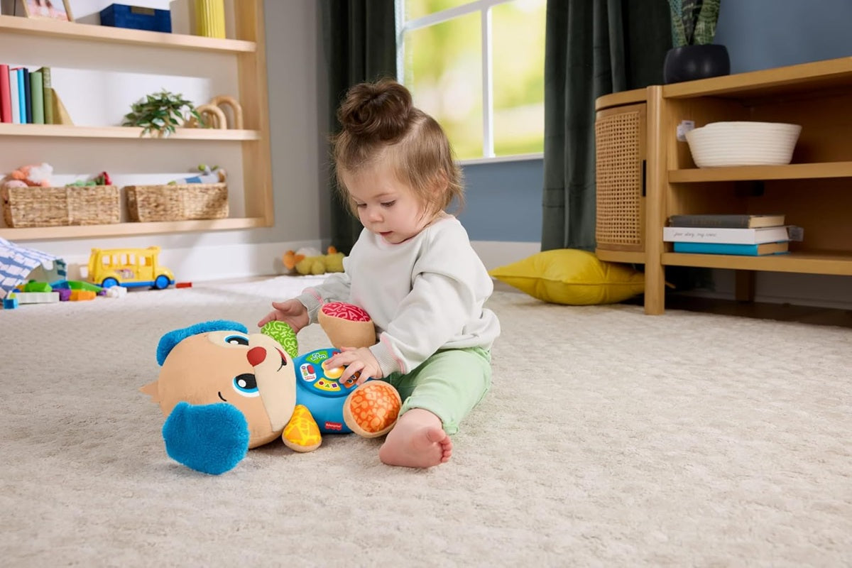 FISHER-PRICE JFD27 Lernhündchen 5 Sprachen PL CZ SK HU ENG