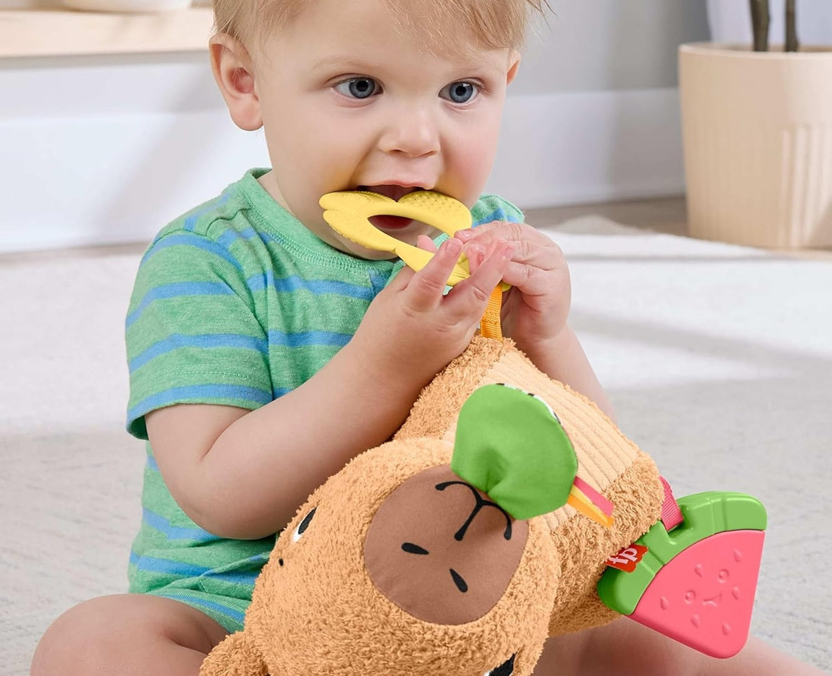 FISHER-PRICE Plüsch-Sensory-Wasserschwein mit Beißring und Rassel 23,5 cm