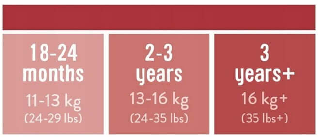 BAMBINO MIO majtki treningowe białe 18-24msc - rozmiar 18-24 miesiące, 11-13 kg